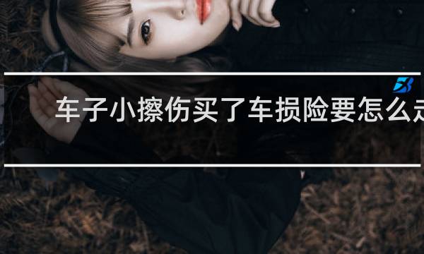 车子小擦伤买了车损险要怎么走