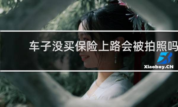车子没买保险上路会被拍照吗