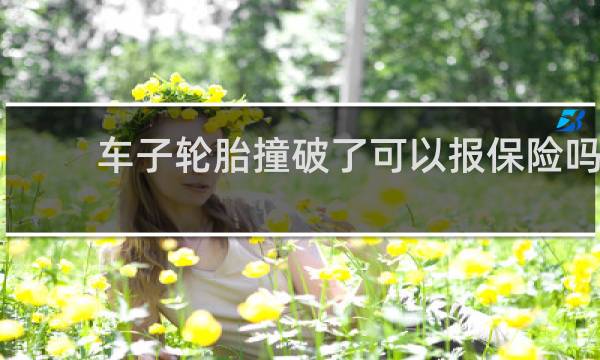 车子轮胎撞破了可以报保险吗