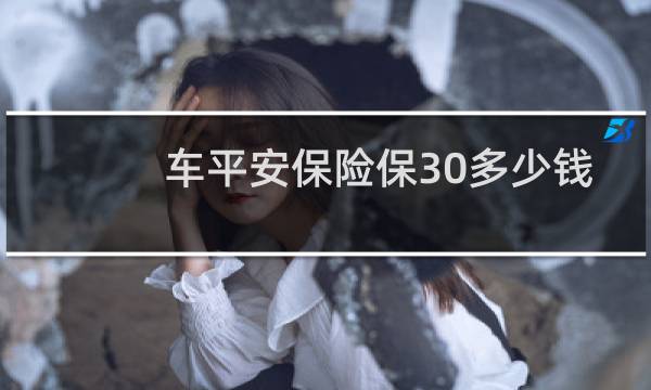 车平安保险保30多少钱