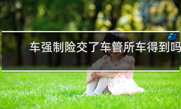 车强制险交了车管所车得到吗