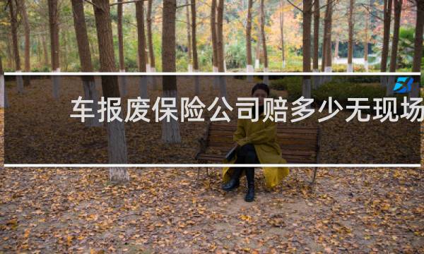 车报废保险公司赔多少无现场