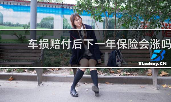 车损赔付后下一年保险会涨吗