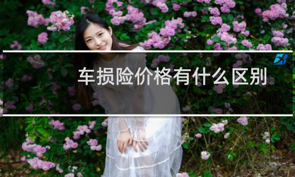 车损险价格有什么区别