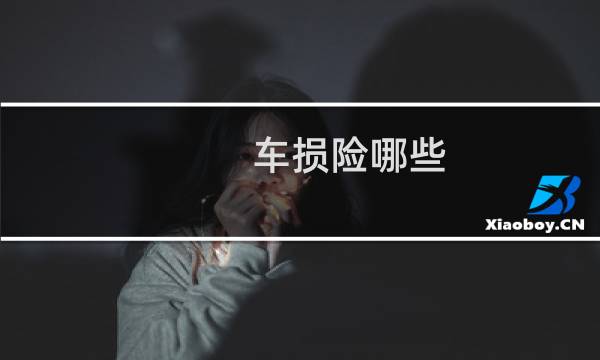 车损险哪些