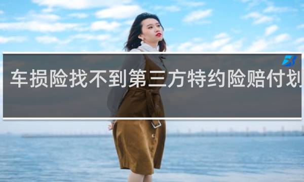 车损险找不到第三方特约险赔付划痕吗