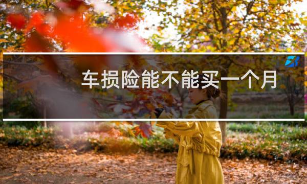 车损险能不能买一个月