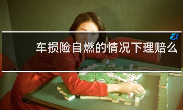 车损险自燃的情况下理赔么