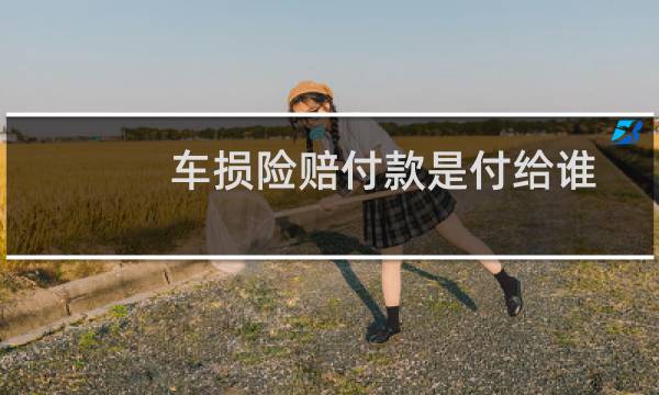 车损险赔付款是付给谁