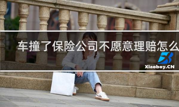 车撞了保险公司不愿意理赔怎么办