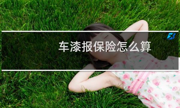 车漆报保险怎么算