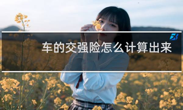 车的交强险怎么计算出来