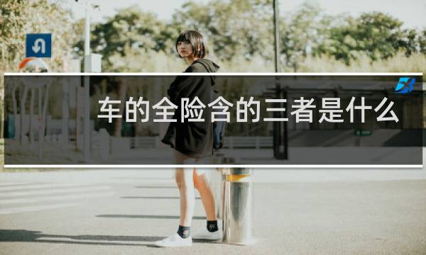 车的全险含的三者是什么