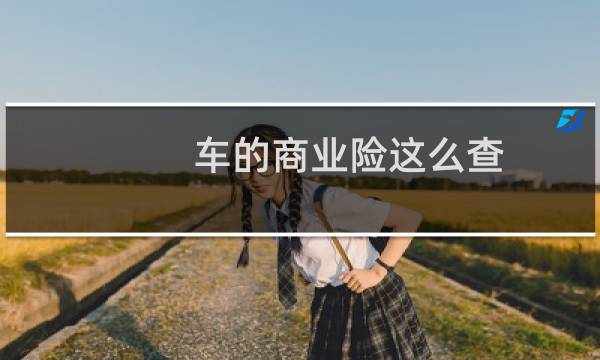 车的商业险这么查