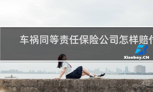 车祸同等责任保险公司怎样赔付