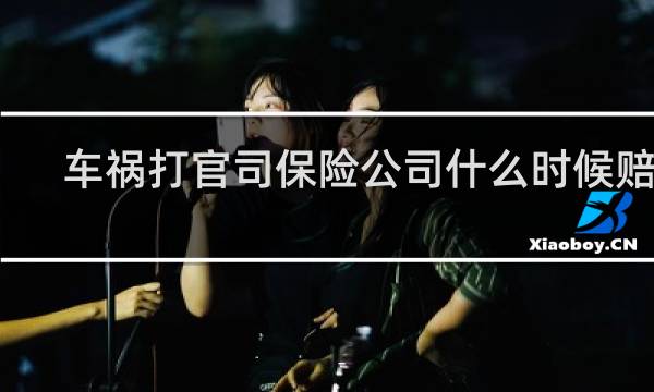 车祸打官司保险公司什么时候赔付
