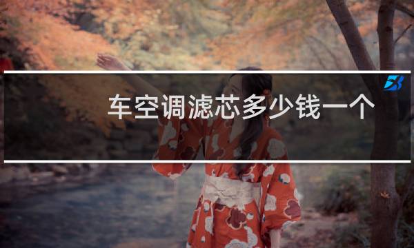 车空调滤芯多少钱一个
