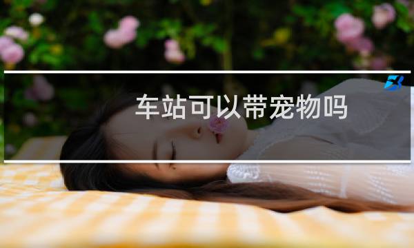 车站可以带宠物吗