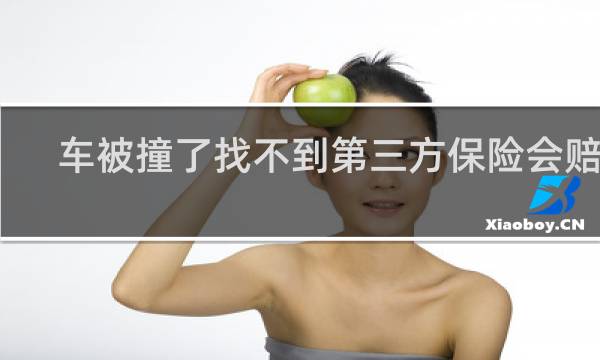 车被撞了找不到第三方保险会赔吗