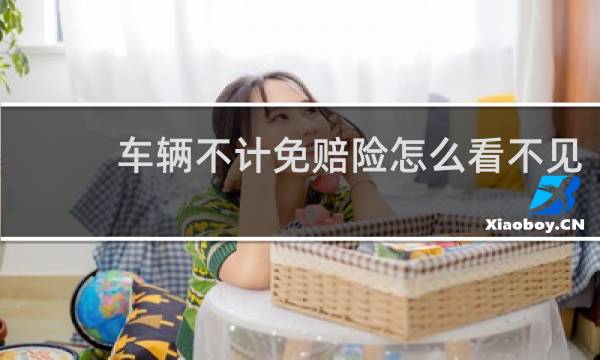 车辆不计免赔险怎么看不见