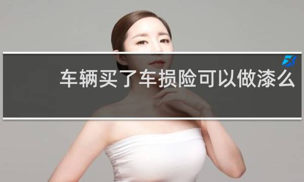 车辆买了车损险可以做漆么