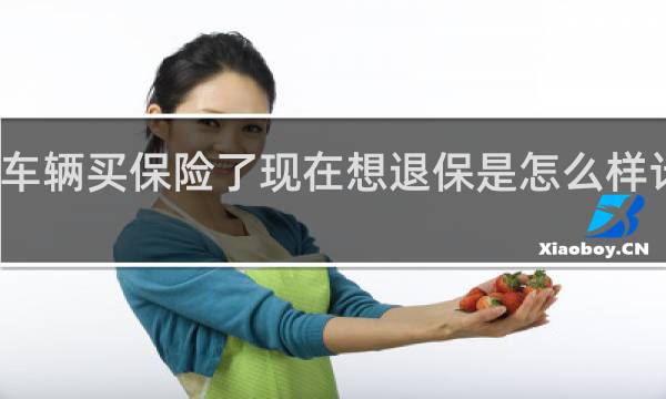 车辆买保险了现在想退保是怎么样计算的