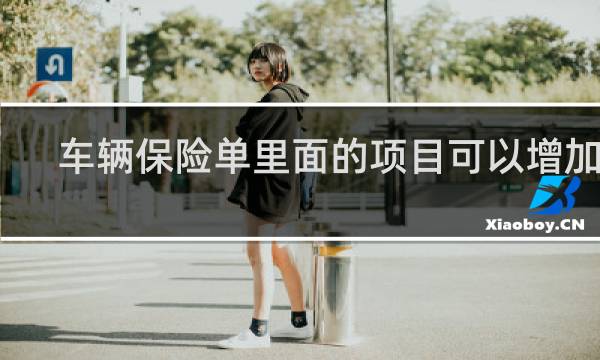 车辆保险单里面的项目可以增加吗