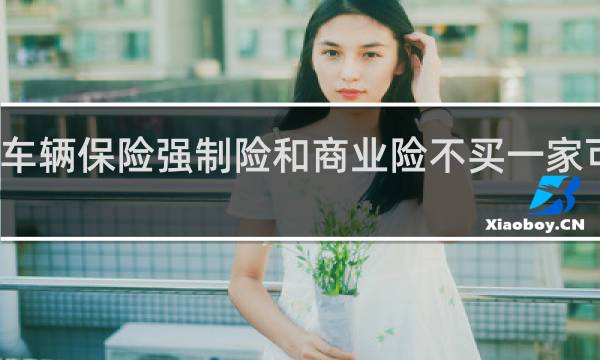车辆保险强制险和商业险不买一家可以吗