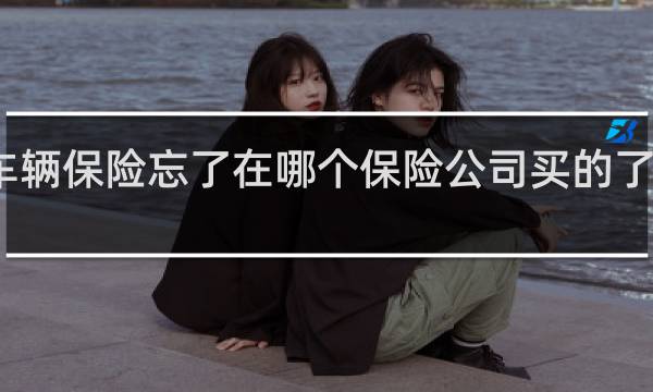 车辆保险忘了在哪个保险公司买的了怎么查