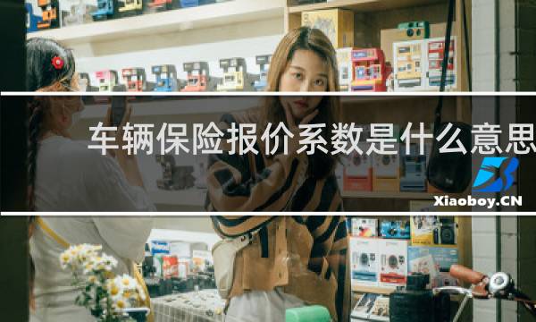 车辆保险报价系数是什么意思