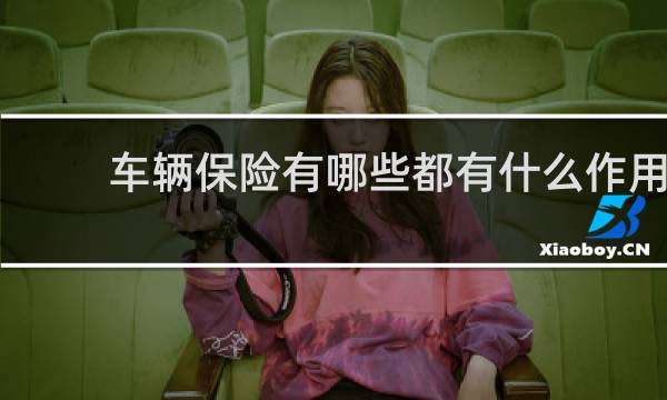 车辆保险有哪些都有什么作用