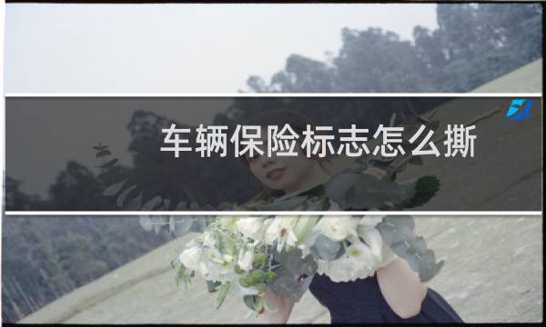 车辆保险标志怎么撕