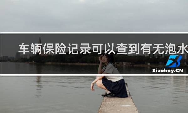 车辆保险记录可以查到有无泡水吗