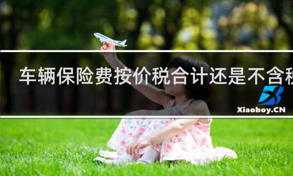 车辆保险费按价税合计还是不含税价