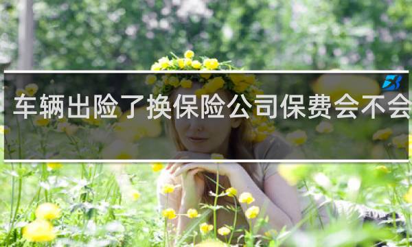车辆出险了换保险公司保费会不会上涨