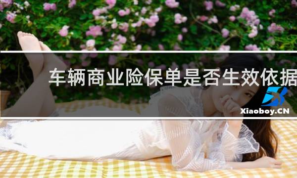 车辆商业险保单是否生效依据