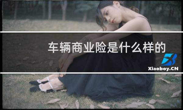 车辆商业险是什么样的