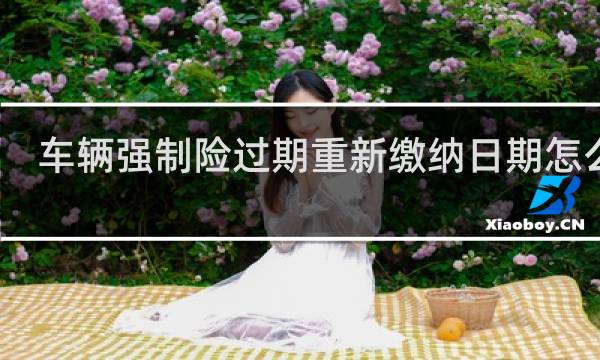车辆强制险过期重新缴纳日期怎么算