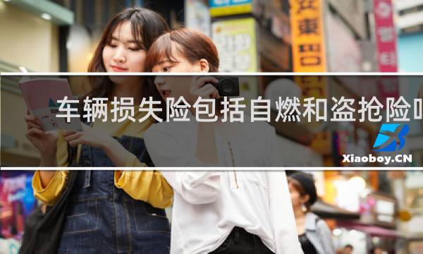 车辆损失险包括自燃和盗抢险吗