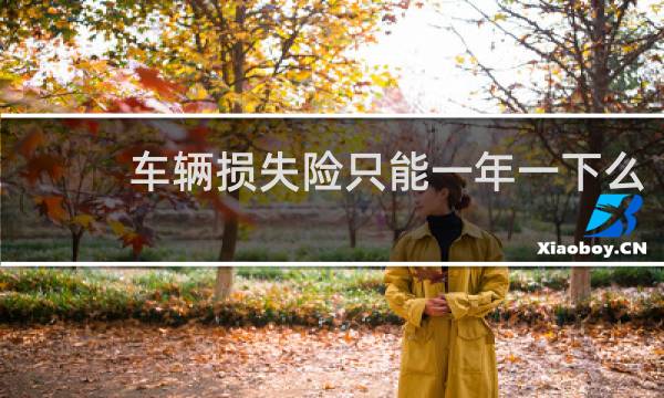 车辆损失险只能一年一下么