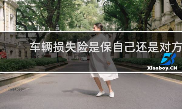 车辆损失险是保自己还是对方