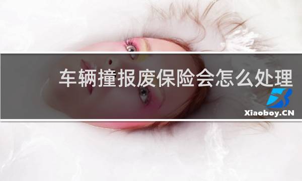 车辆撞报废保险会怎么处理