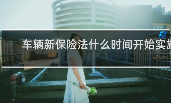 车辆新保险法什么时间开始实施