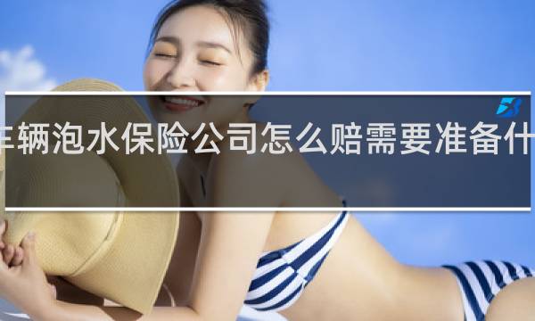 车辆泡水保险公司怎么赔需要准备什么资料
