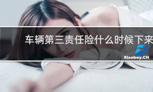 车辆第三责任险什么时候下来