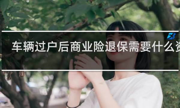 车辆过户后商业险退保需要什么资料