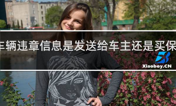 车辆违章信息是发送给车主还是买保险的人