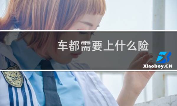 车都需要上什么险