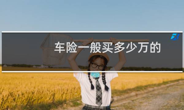 车险一般买多少万的