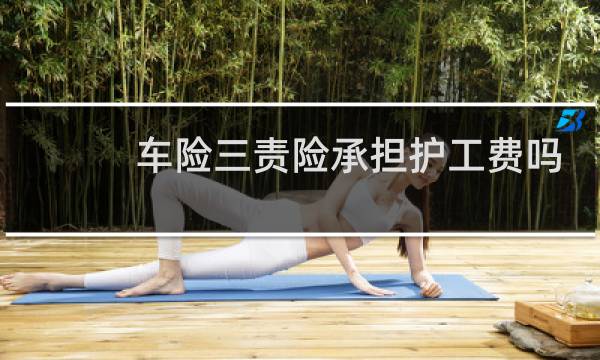 车险三责险承担护工费吗